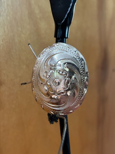 Top quality arabian - quality, horse