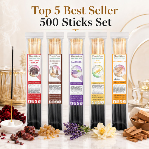 Top best sellers - best,