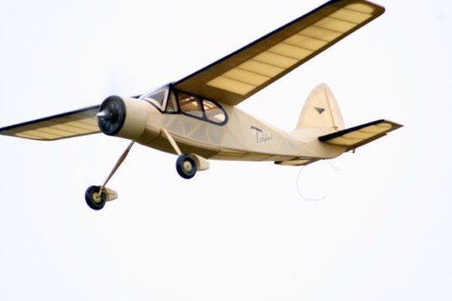 Ladybird 42in rc model - ff,
