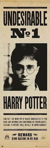 Harry potter poster 53x158 - potter, cm