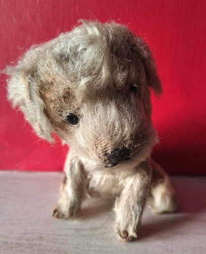 1950s farnell english - english, puppy