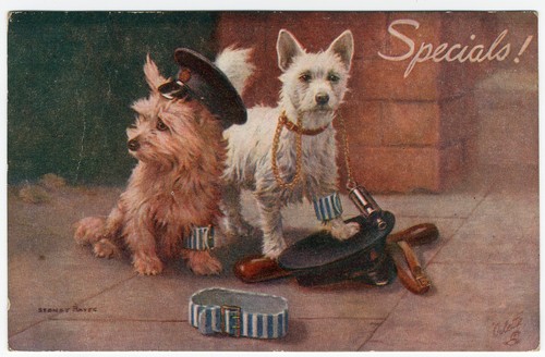 Cairn terrier dogs vintage - dogs,