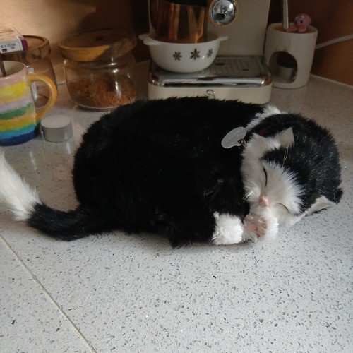 Precious petzzz black - precious,