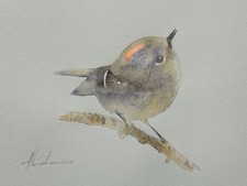 The Goldcrest, Birds