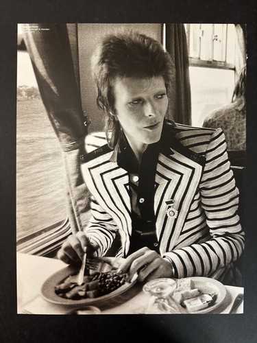 David bowie 9x12 book page - bowie,
