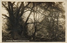 PC EPPING FOREST LOUGHTON ESSEX ENGLAND VINTAGE REAL PHOTO POSTCARD (u7587)