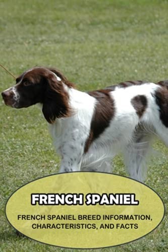 French spaniel - spaniel:,