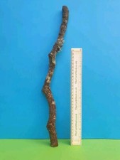 CORK BARK BRANCH 47CM LEOPARD