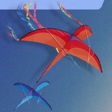 Didak X-Session one string kite red