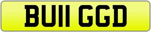 Bugged number plate bu11 - bugged,