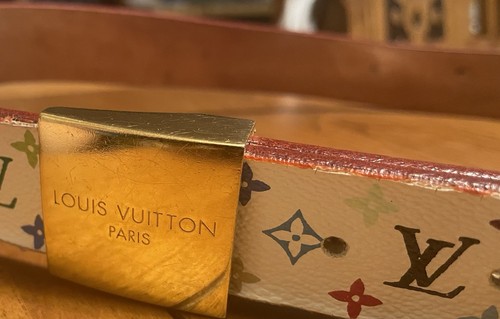 Louis vuitton multicolor - louis,