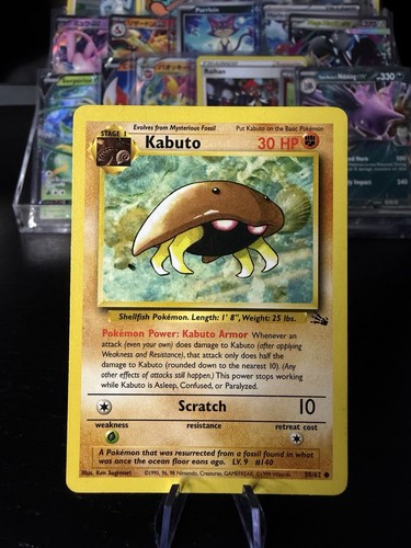 Kabuto fossil regular - -,