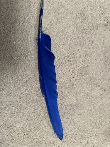 Feather quill pen - /,