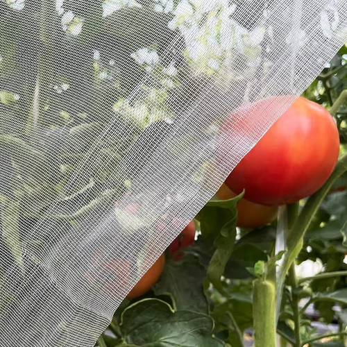 Garden protect netting for - garden,