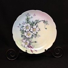 Limoges Haviland Cabinet Plate