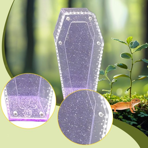 Mini reptile terrarium - mini,