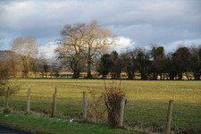 Photo A2 Grazing land at