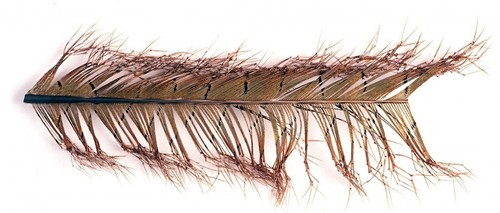 Veniards knotted pheasant - veniards,