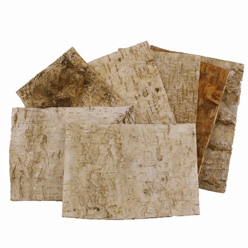 Birch tree bark sheets bundle - bark, (bundle