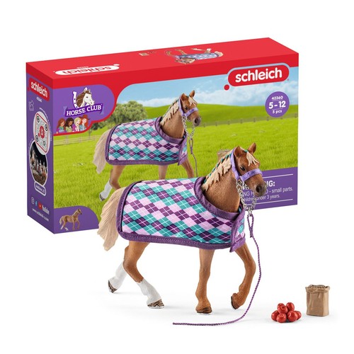 Thoroughbred horse with - thoroughbred,