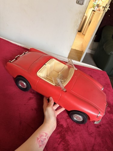 Rare pedigree sindy - rare,