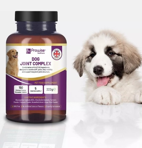 Dog joint supplements strength - dog,