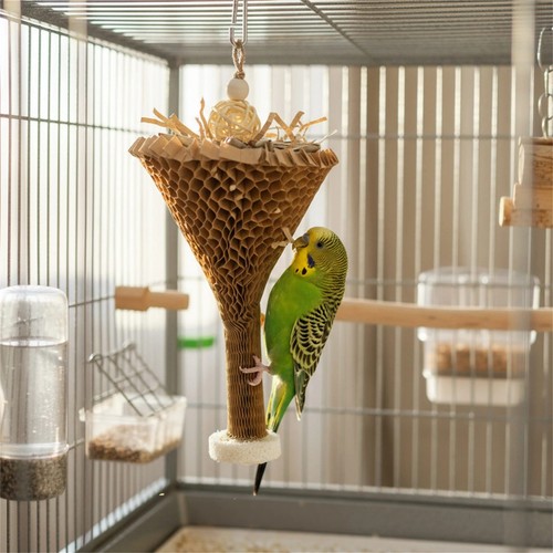 Parrot chew toy palm leaf - toy,