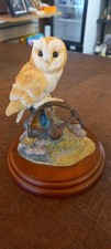 Border Fine Arts Barn Owl on