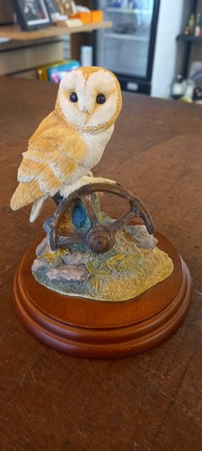 Border fine arts barn owl - fine,