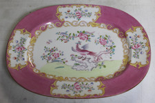 RARE Minton Pink Cockatrice
