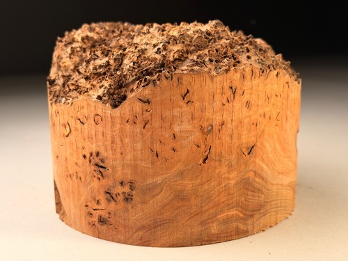 Amazing live edge - live, elm
