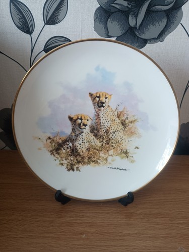 Wedgwood david shepard - david,