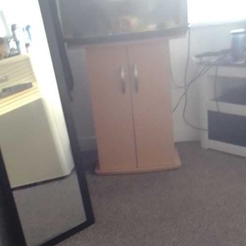 Bowfront glass aquarium fish - glass,