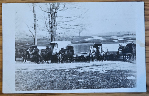 Antique photo postcard - photo, group