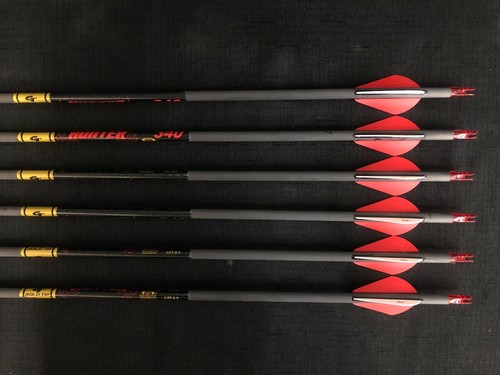 Gold tip hunter 340 - gold,