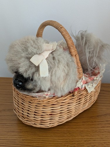 Pekingese puppy dog basket - in,