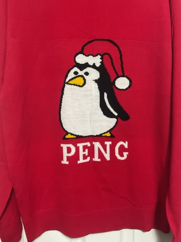 Mans xmas jumper new - mans, without