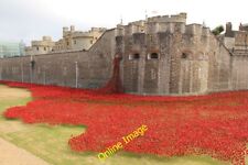 Photo 6x4 Tower poppies London