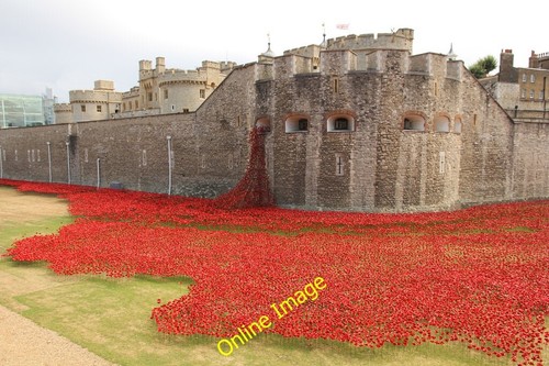Photo 6x4 tower poppies - 6x4, london
