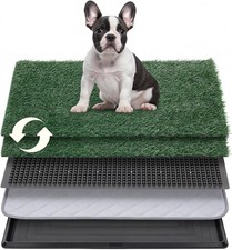 Pet Dog Toilet Mat Indoor