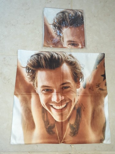 Harry styles cushion covers - 2x,