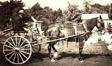1920 HORSE DRAWN CARRIAGE WITH