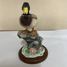 BORDER FINE ARTS Duck Mallard