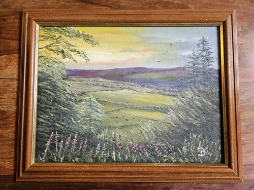 Ilkley moor yorkshire - ilkley,