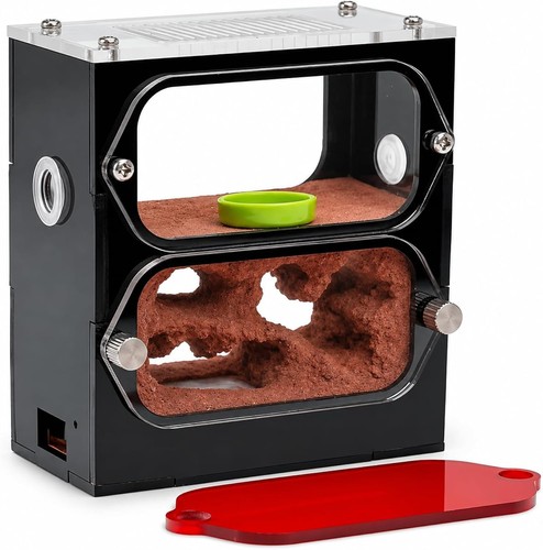 Acrylic ant farm - ant,