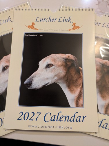 Lurcher link rescue calendar - lurcher,