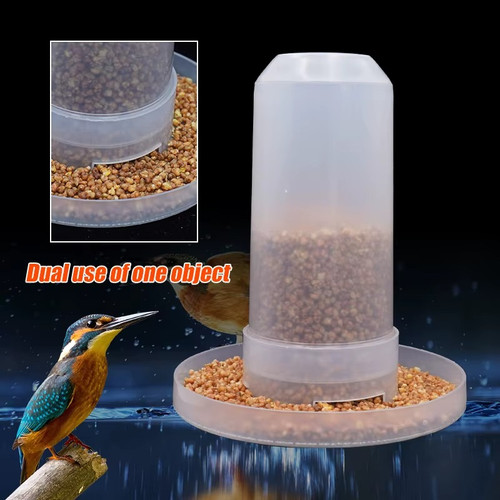 Automatic bird feeder - bird,