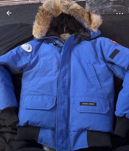 Canada goose chilliwack - goose,
