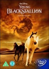 The Young Black Stallion DVD