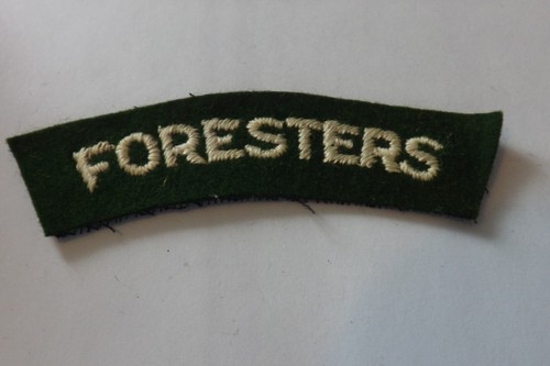 Military cloth badge foresters - badge,